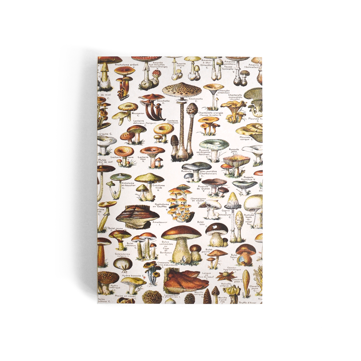 Vintage Tan Mushroom Exposed Coptic Binding Notebook Journal