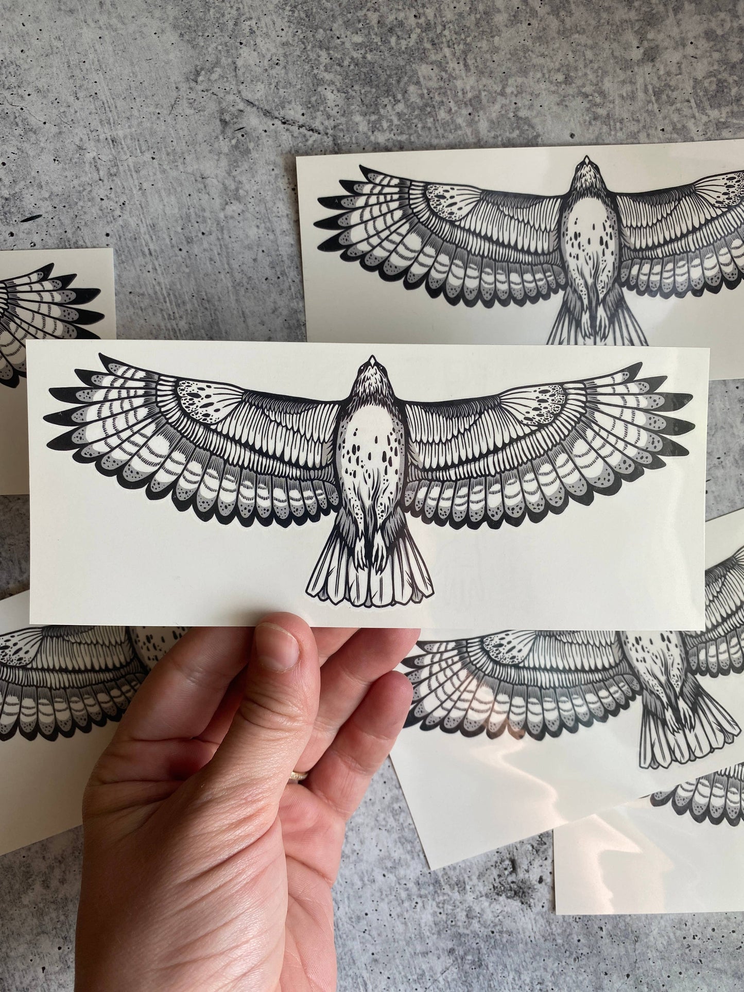 Hawk Temporary Tattoo: 1-Pack