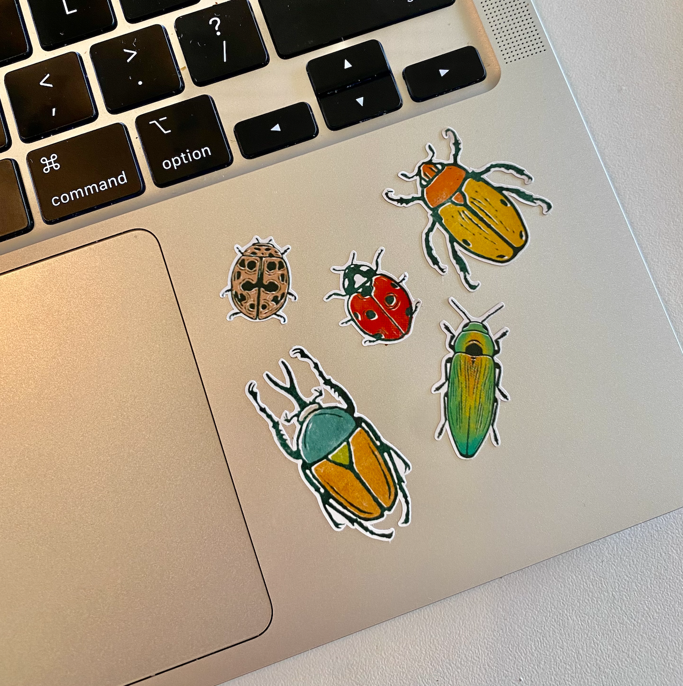Butterflies + Moths Sticker Sheet