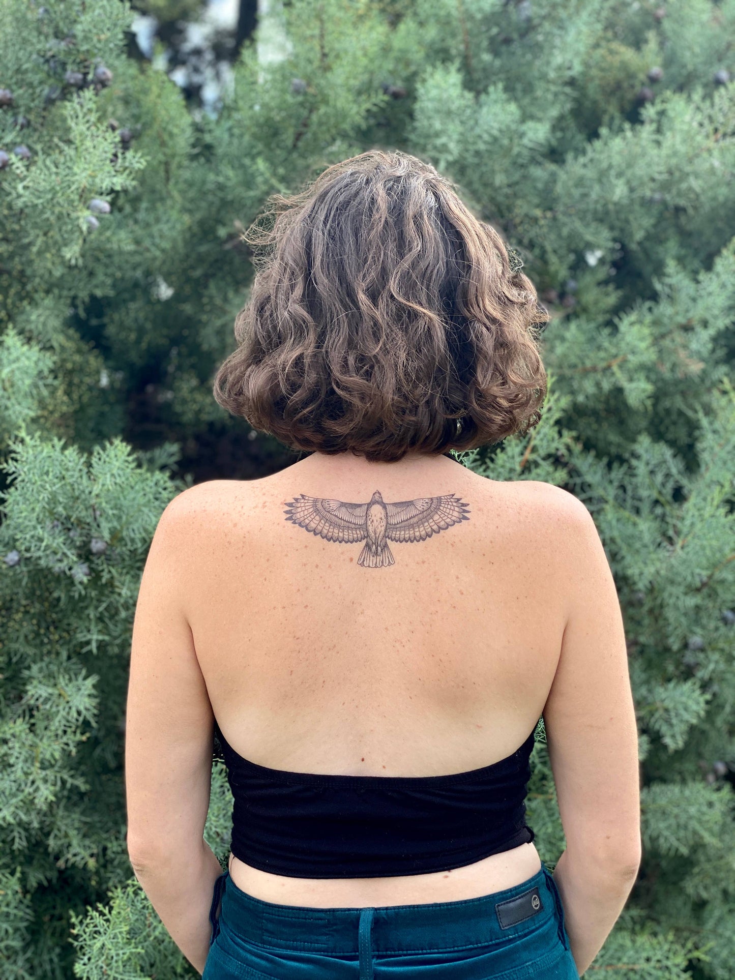 Hawk Temporary Tattoo: 1-Pack