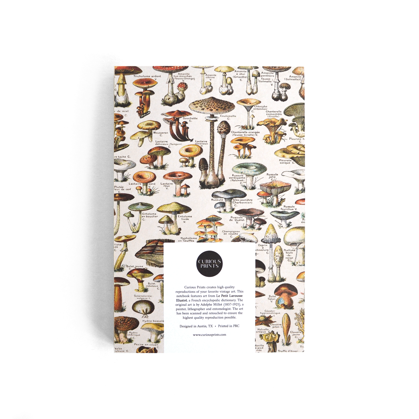 Vintage Tan Mushroom Exposed Coptic Binding Notebook Journal