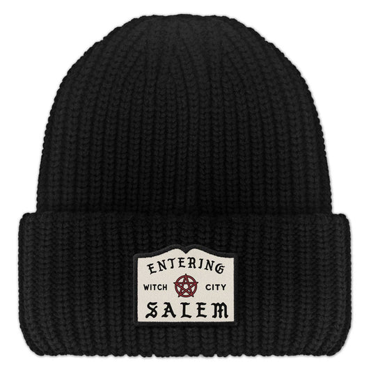 Entering Salem Chunky Chunky Knit Hat in Black