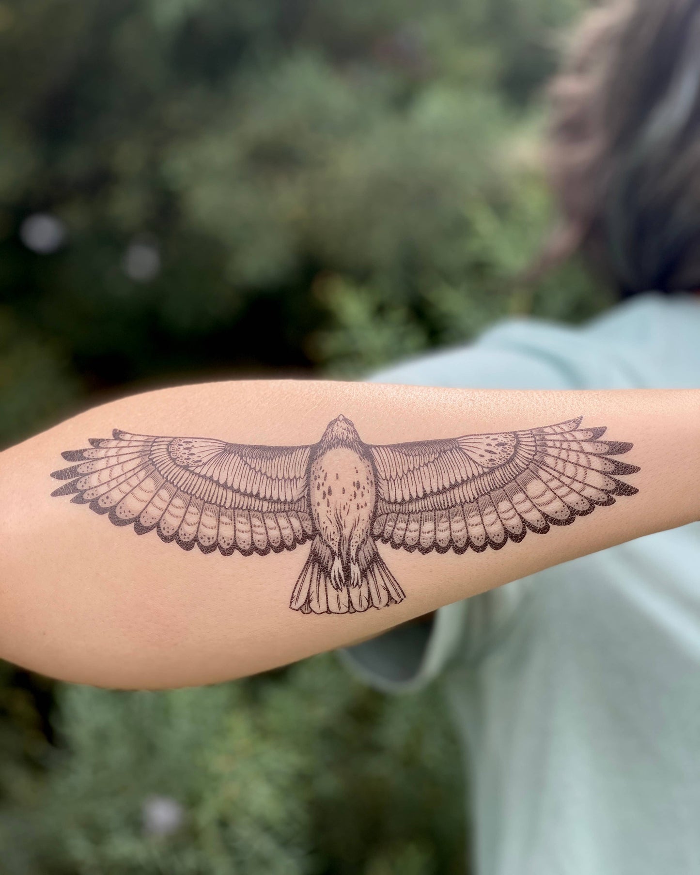 Hawk Temporary Tattoo: 1-Pack
