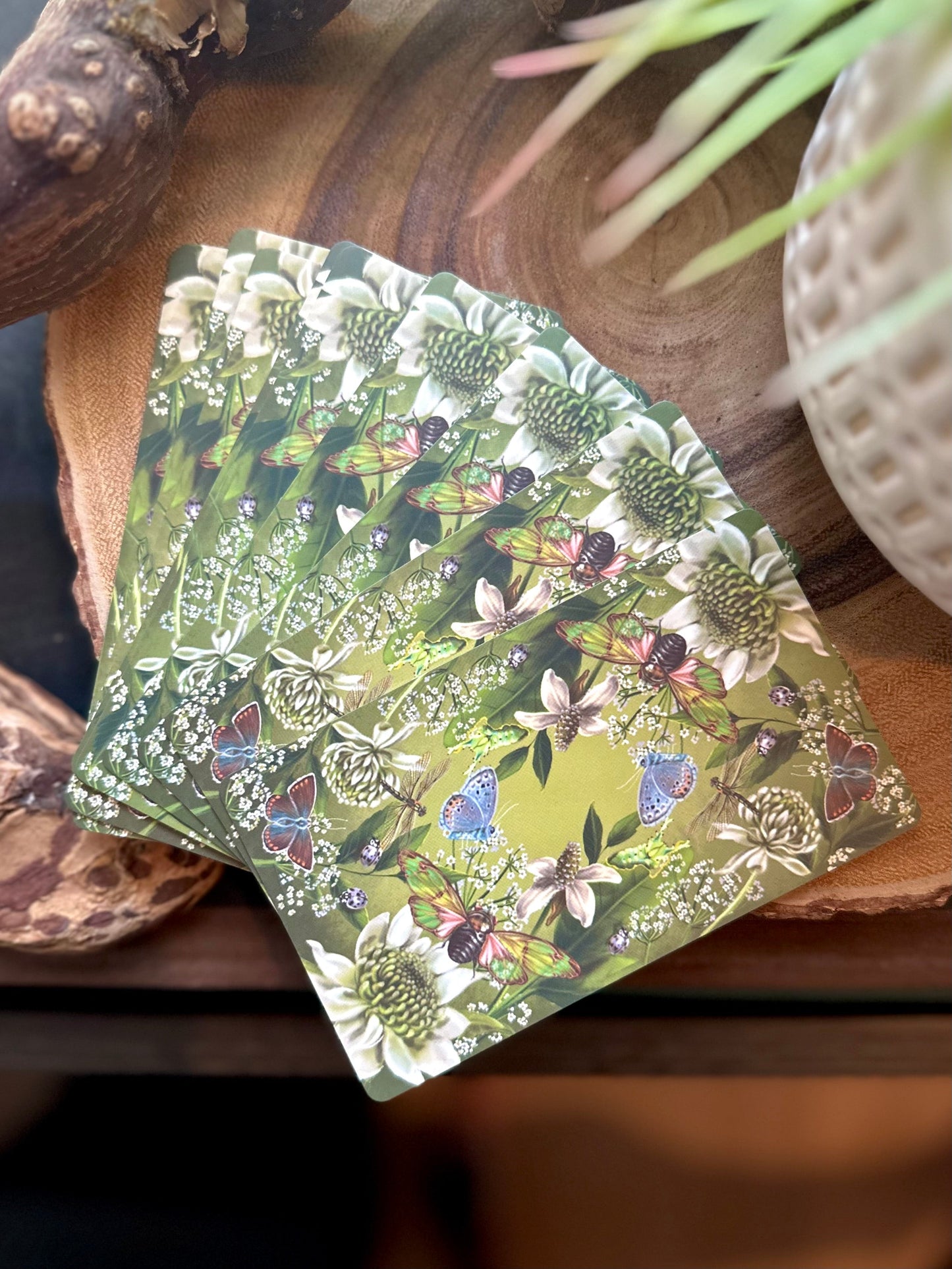 The Animal & Botanical Deck and Book Set