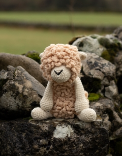 Everett the Romney Sheep Crochet Kit