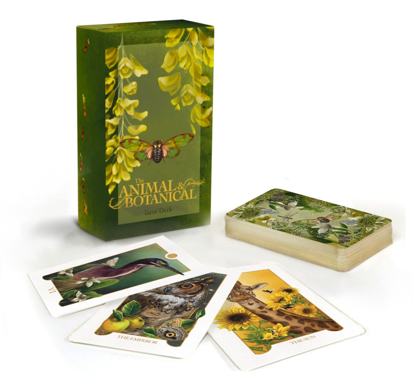 The Animal & Botanical Deck and Book Set