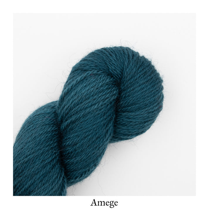 An image of a skein of worsted weight yarn in a teal color against a white background with the label ‘Amege’.