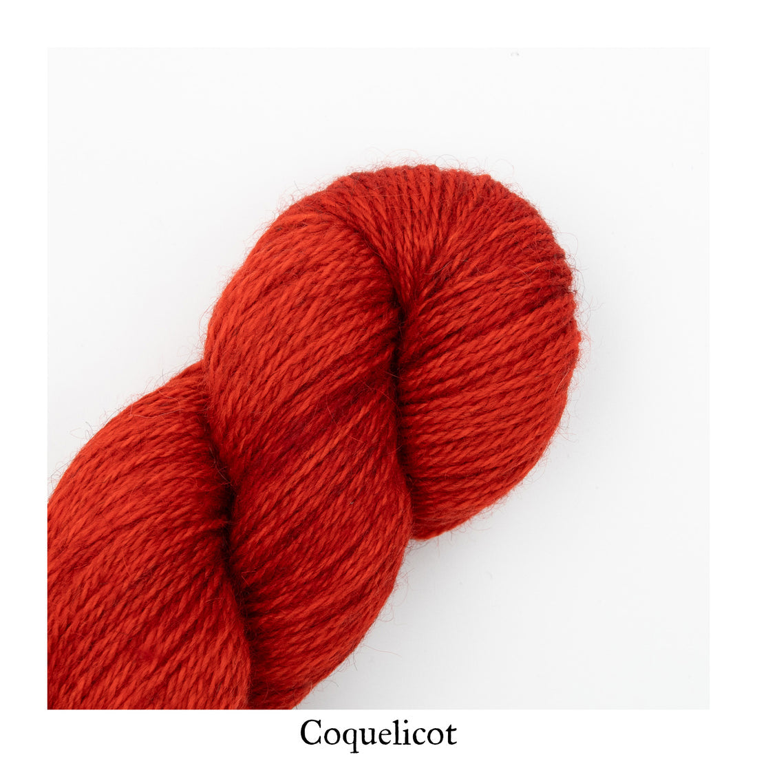 An image of a skein of worsted weight yarn in a vibrant red orange color against a white background with the label ‘Coquelicot’ at the bottom of the image.
