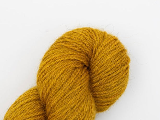 An image of a skein of worsted weight yarn in a mustard yellow color against a white background.