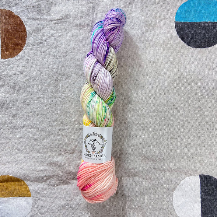 An image of a skein of sock yarn in shades of peach pink, purple, blue, green, and yellow, with a white ‘La Bien Aimee’ label against a canvas background.