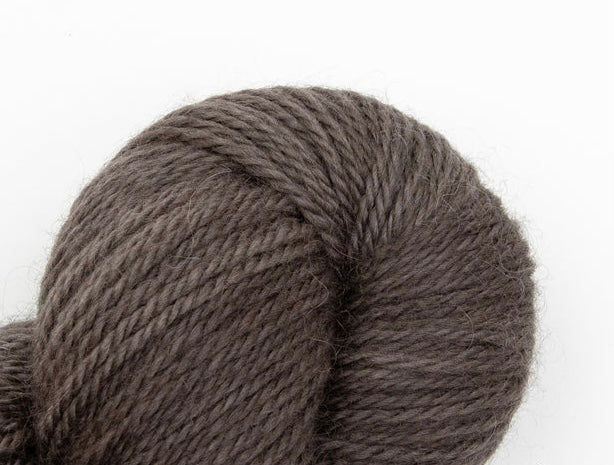 A close-up image of a skein of La Bien Aimee worsted weight yarn in a dark brown color against a white background.