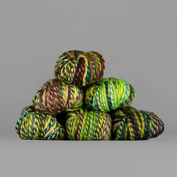 Skeins of Spincycle Plump Bulky weight yarn in green, brown, and yellow color gradient