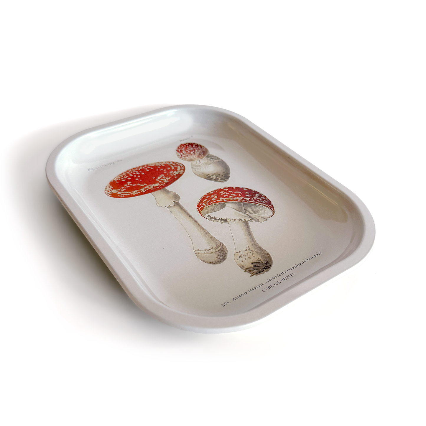 Small Metal Magic Mushroom Catchall Tray / Rolling Tray