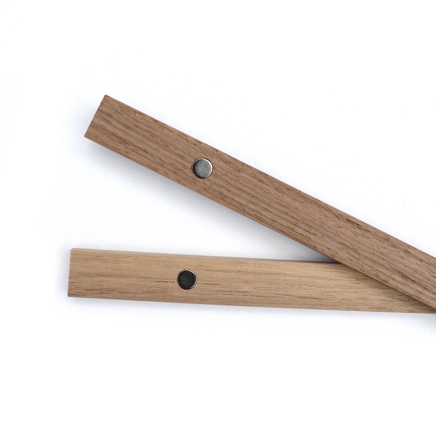 Vintage Mexican Freetail Bat Print w/ optional frame: 8x10 / Print Only