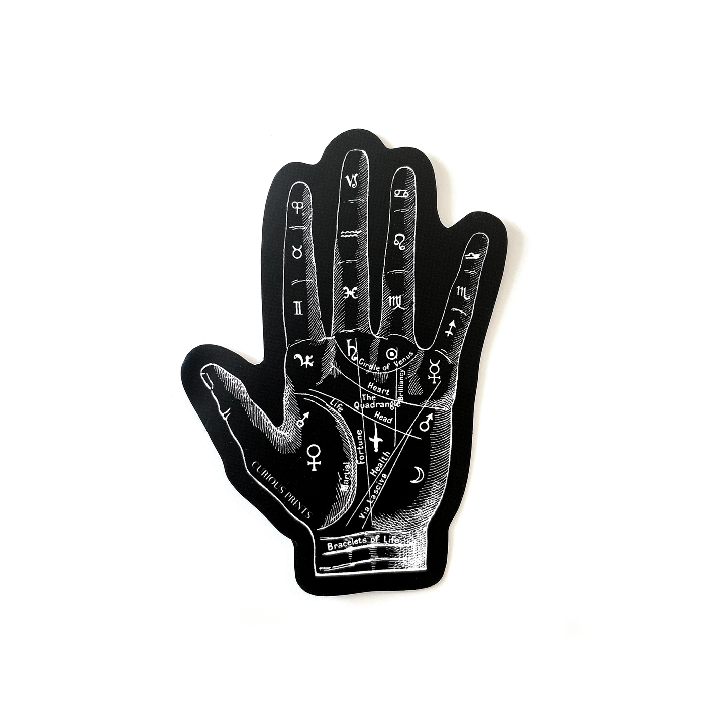 Vintage Palmistry Mystical Waterproof Sticker