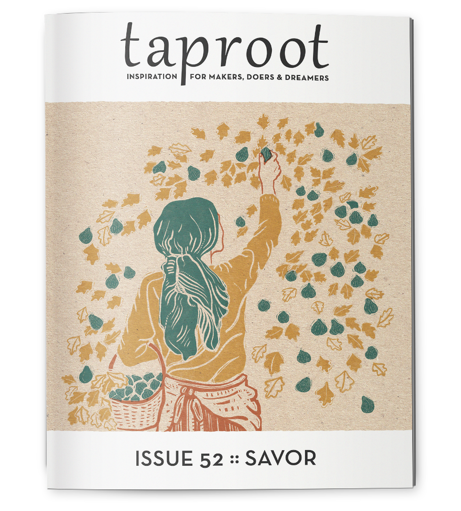 Taproot Issue 51 :: IMAGINE