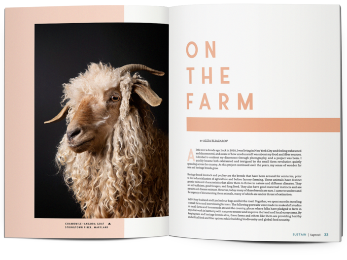 Taproot Issue 47: Sustain