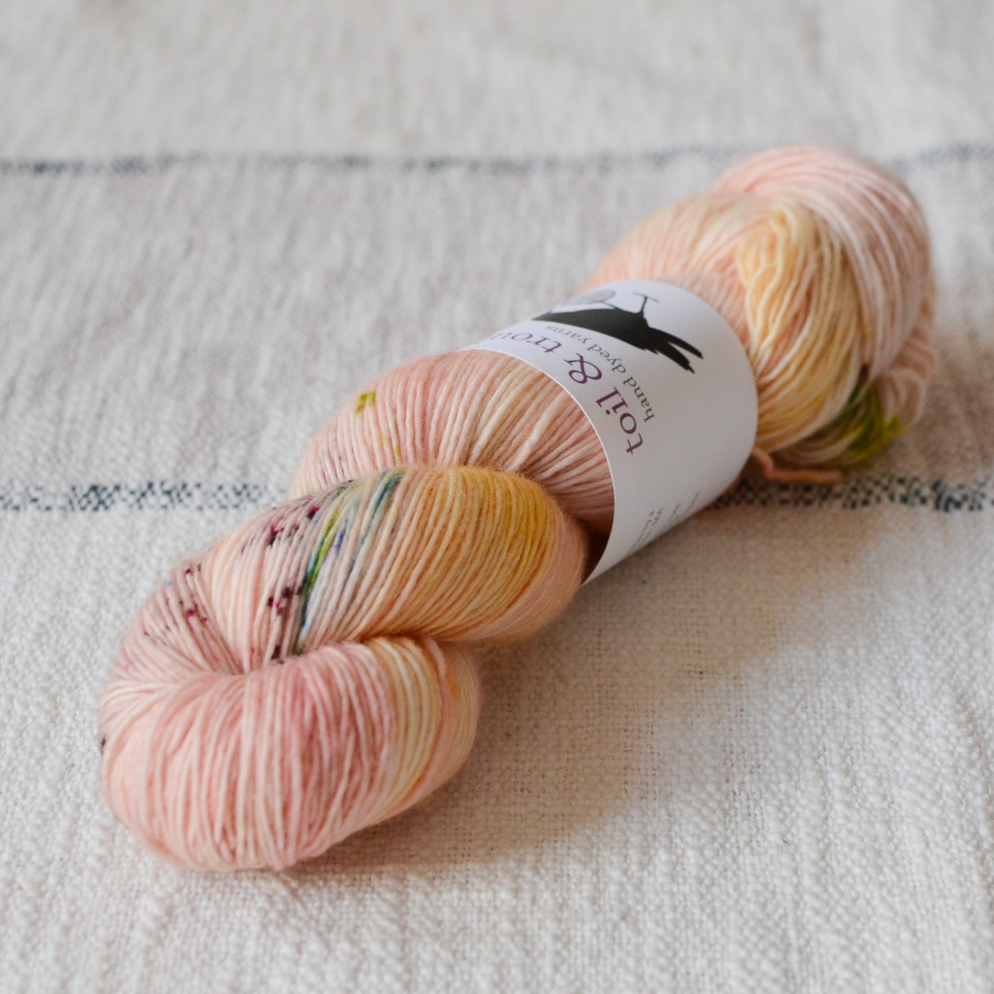 Toil & Trouble Hand Dyed Yarn - Allegory Merino Singles