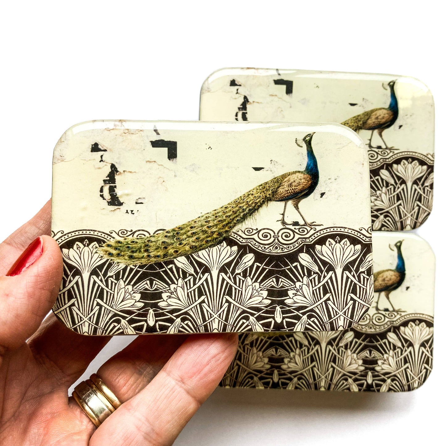 Peacock notions tin