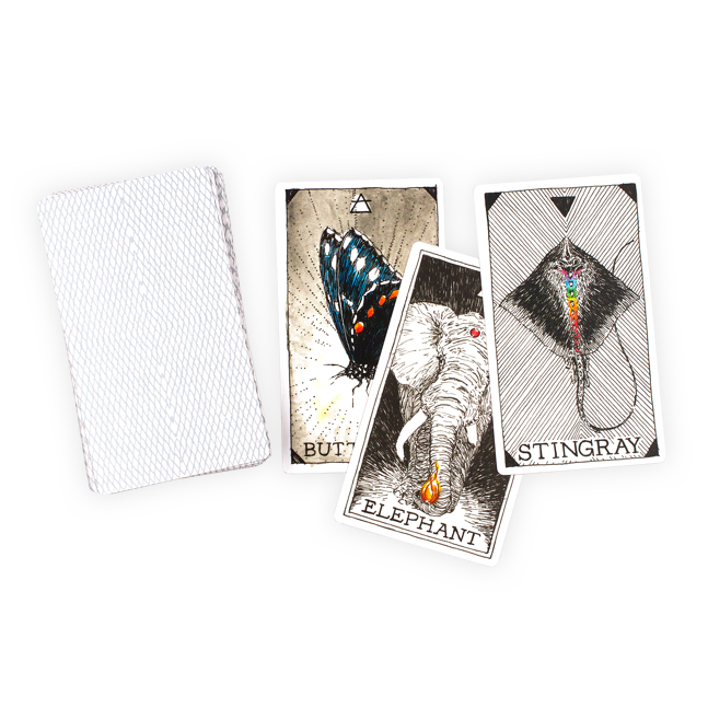Animal Spirit Deck and Guidebook Boxed Set by The Wild Unknown
