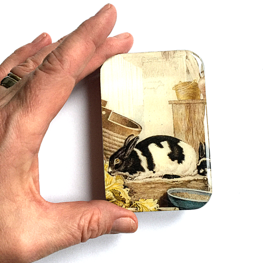Rabbit Notions Storage Tin