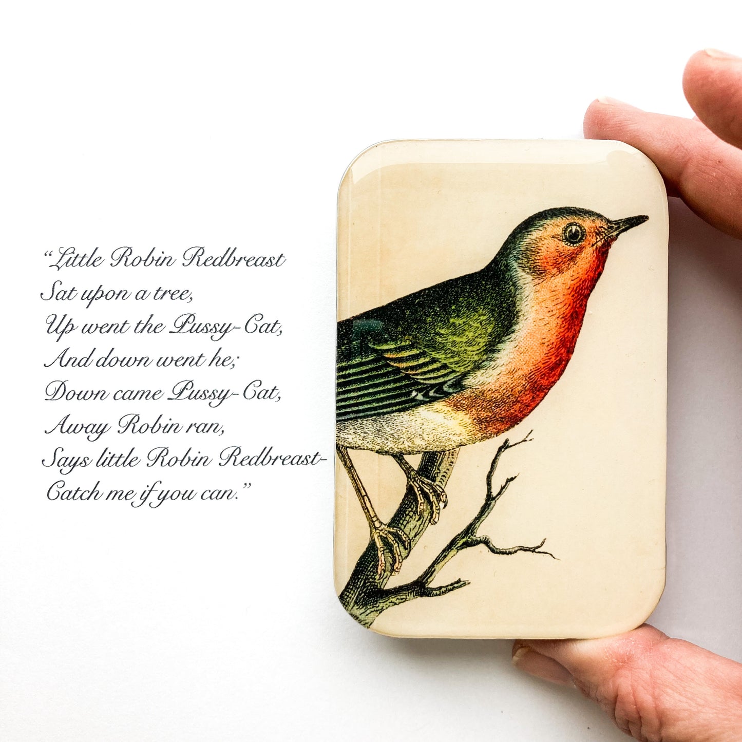 Robin Notions Storage Tin