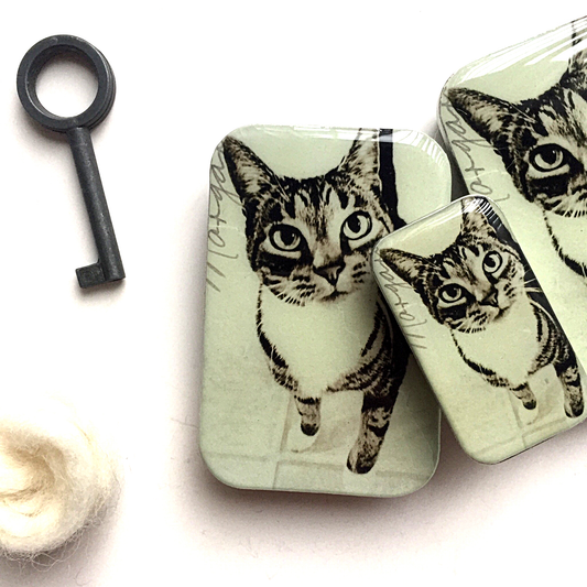 Cat Notions Storage Tin - Large and Small