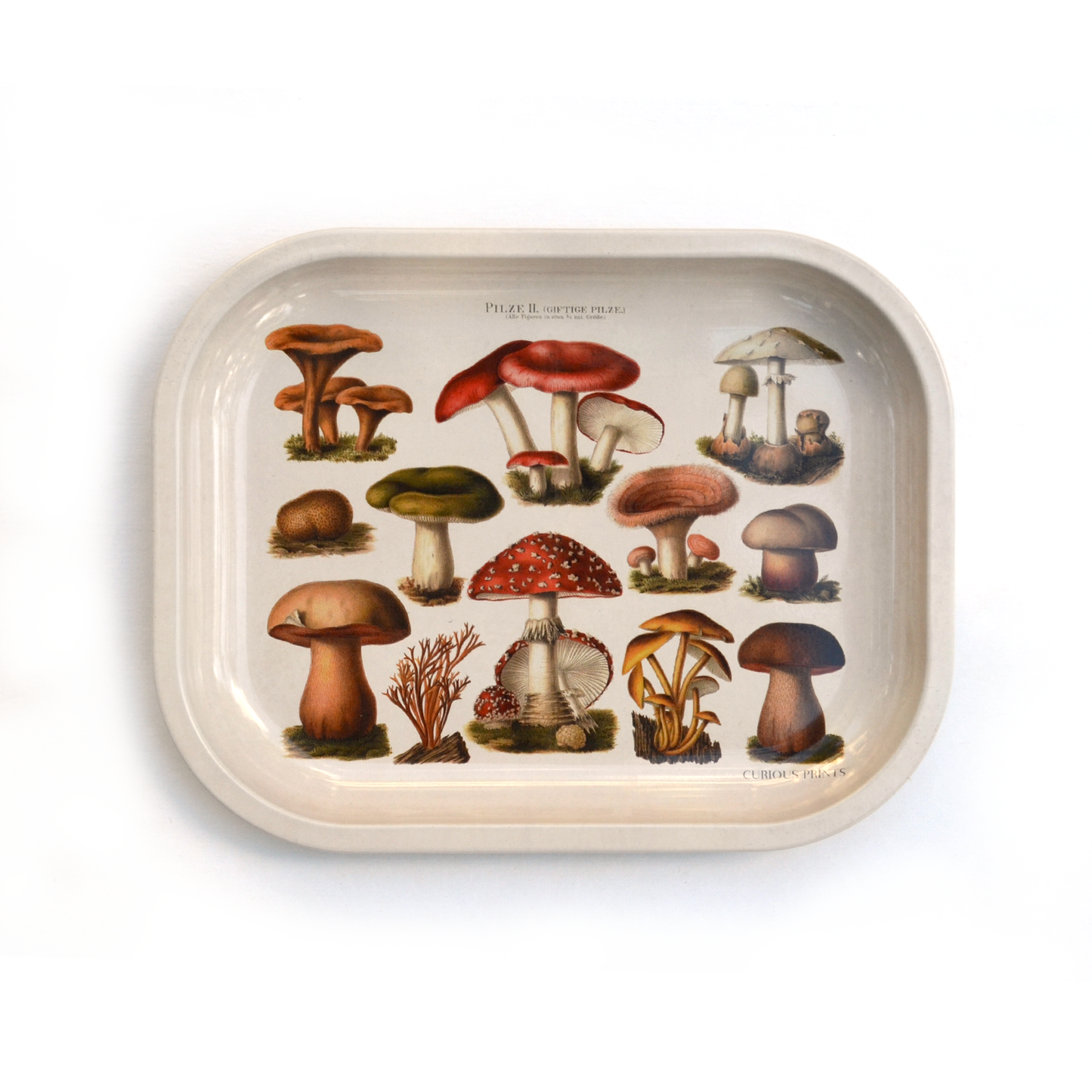 Tan Metal Mushroom Notions or Ritual Tray