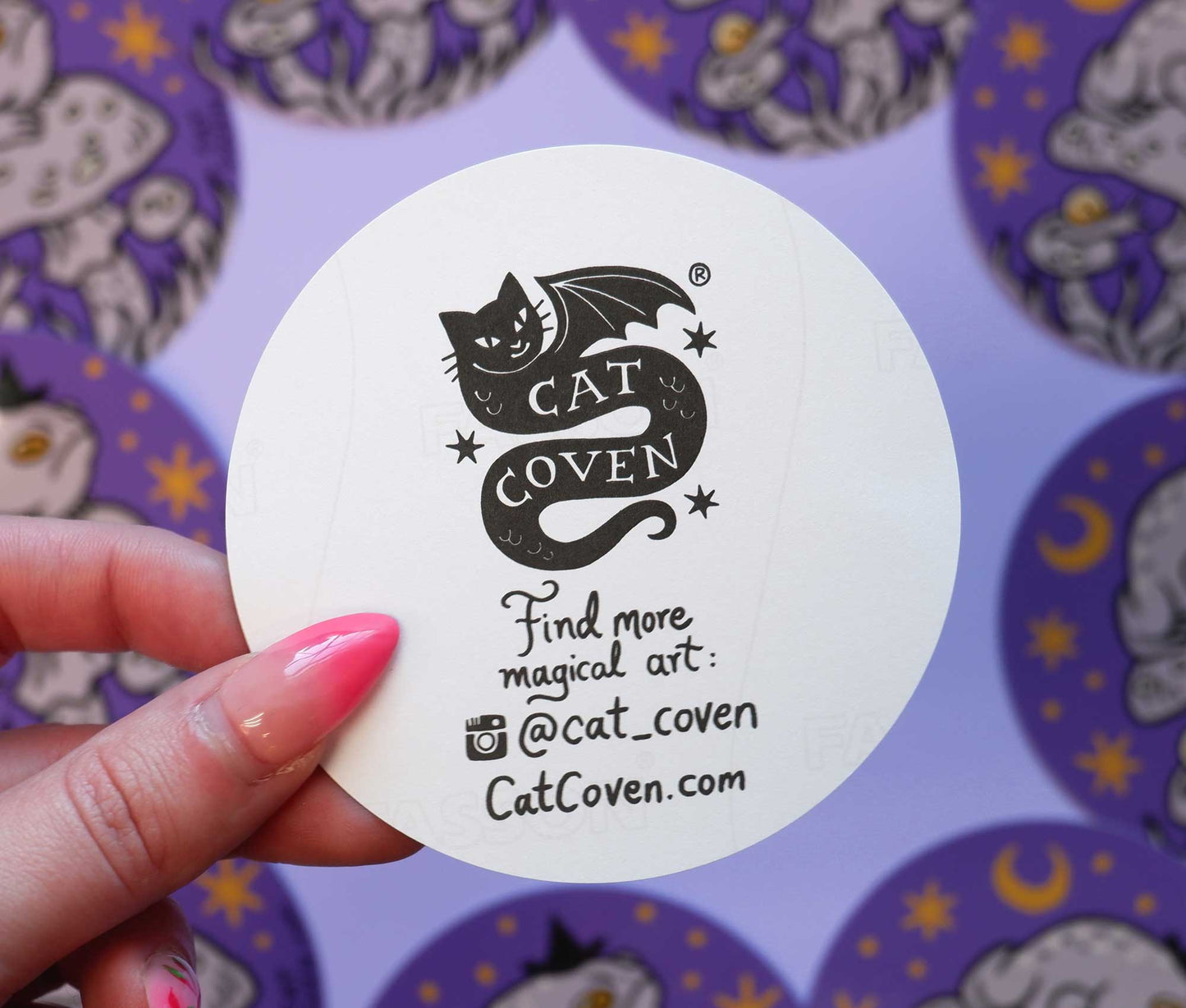 Grumpy Toad Witch - Vinyl Sticker