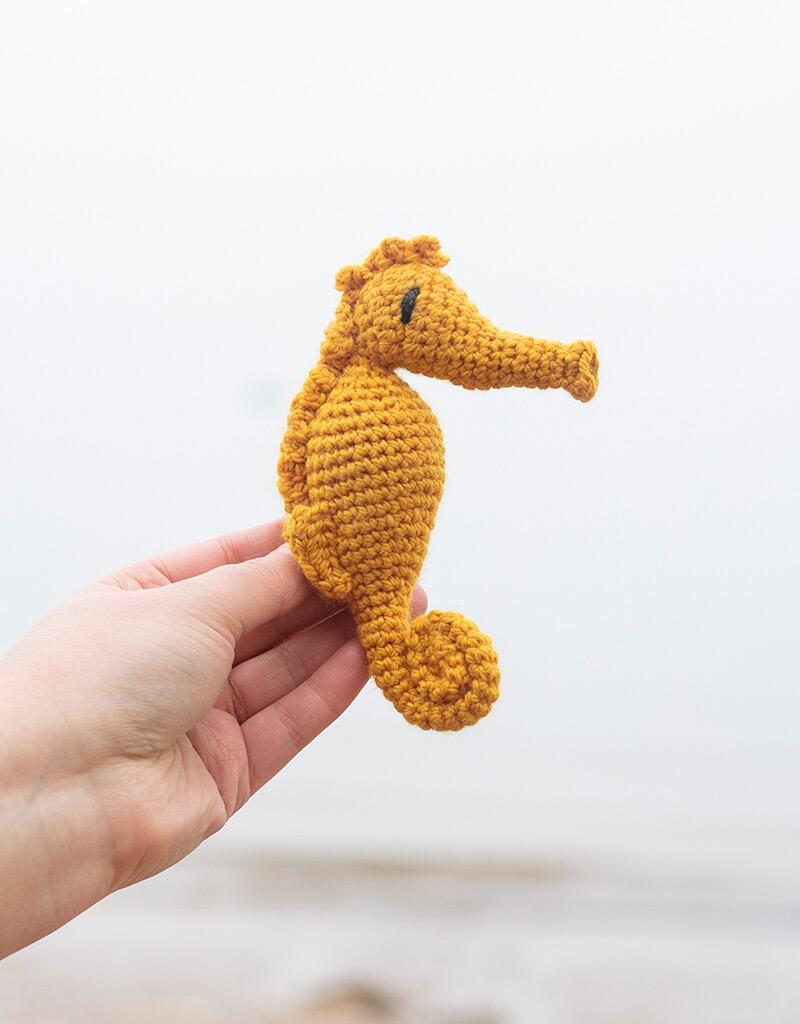 Mini Blanche the Seahorse Crochet Kit