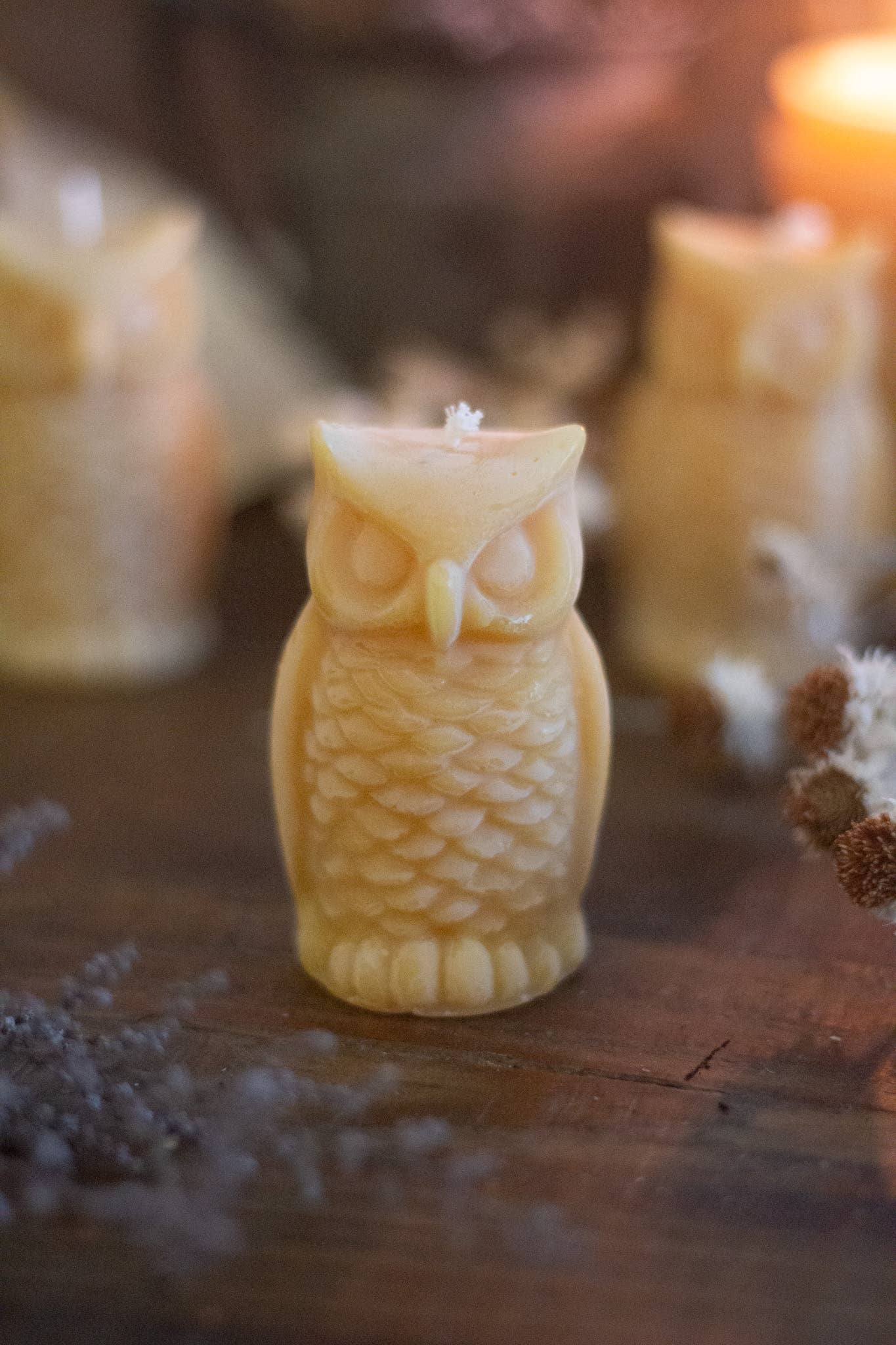 Owl Shaped Beeswax Candle