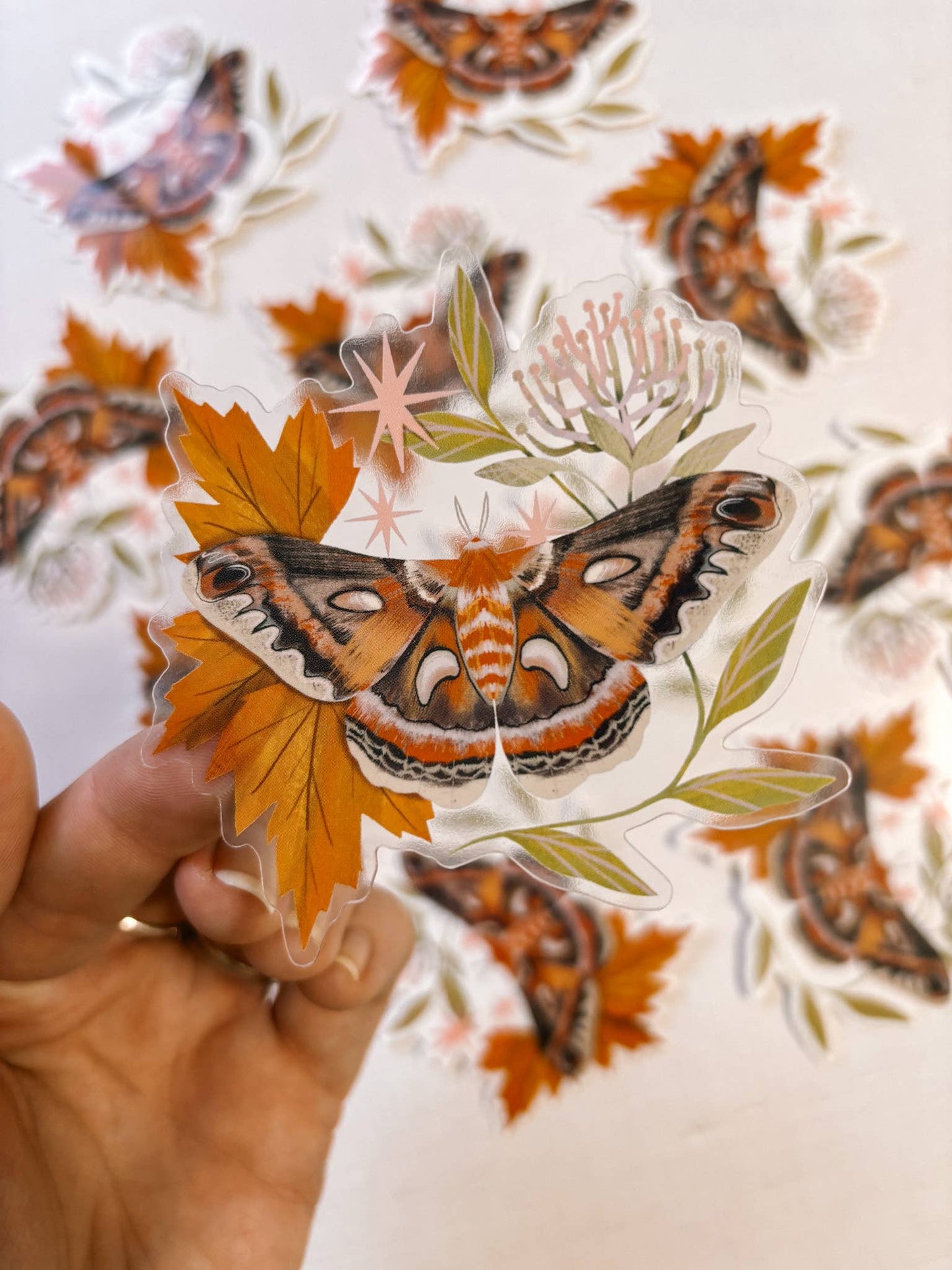 Cecropia Moth Sticker