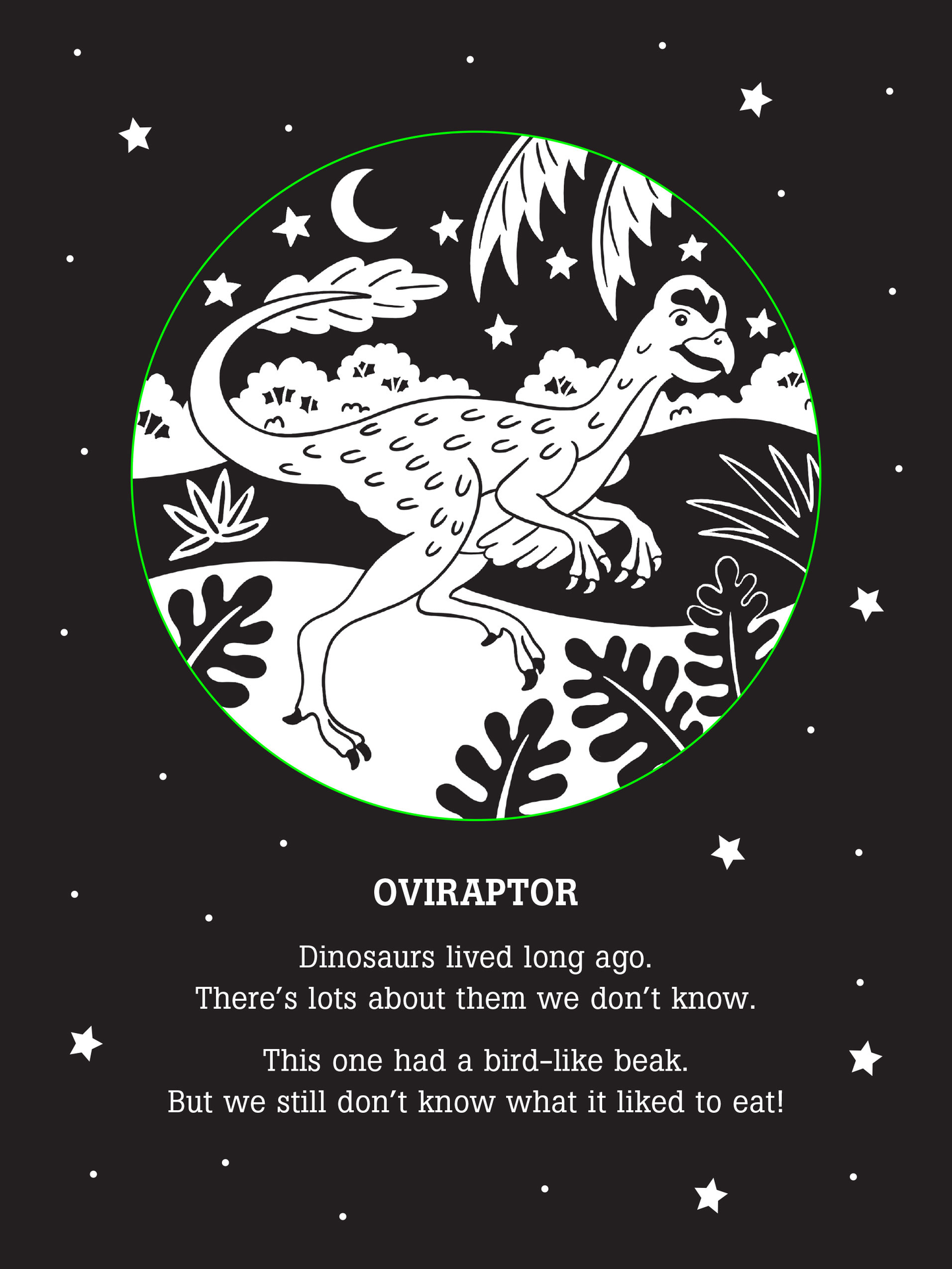 Dinos After Dark Bedtime Shadow Book