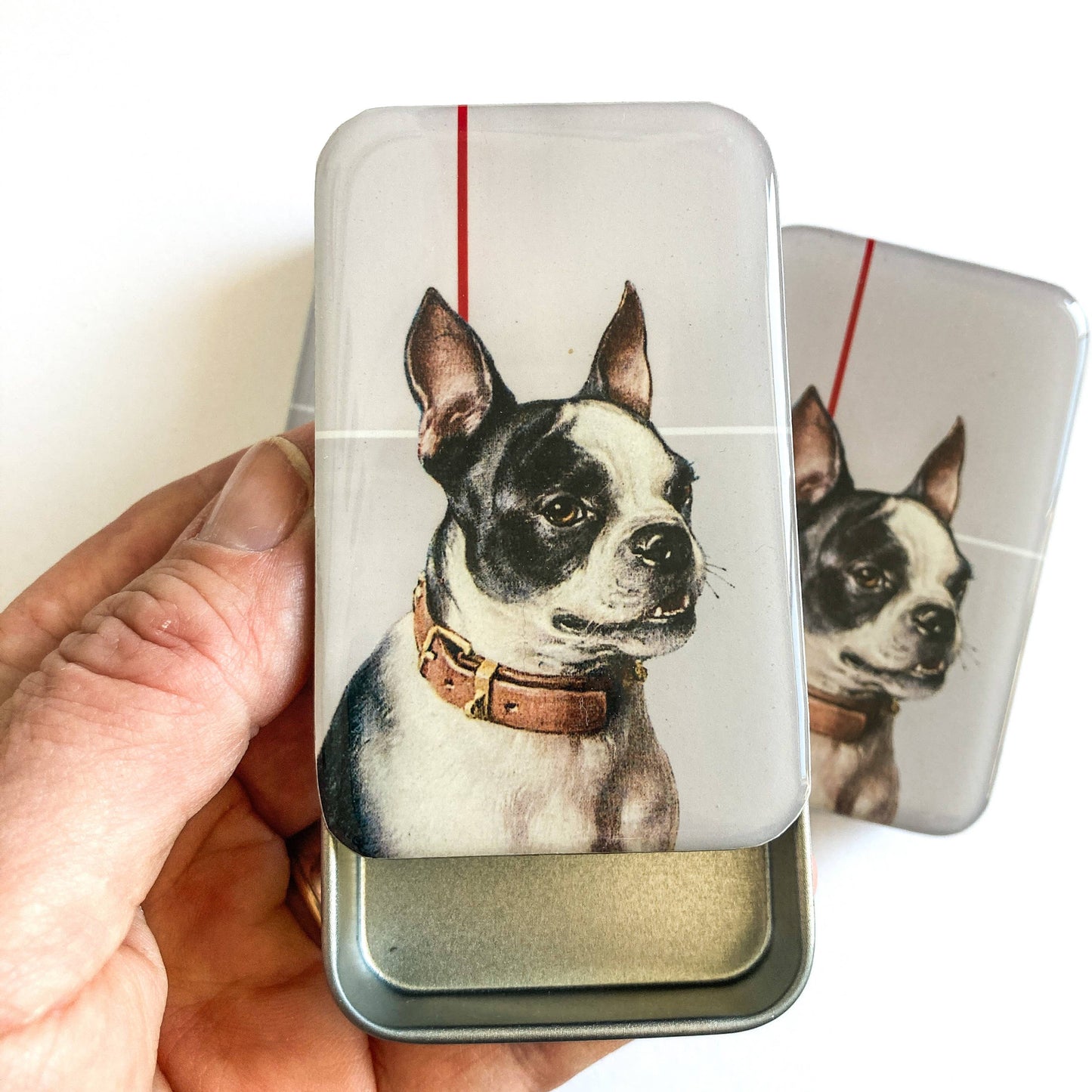 Boston Terrier notions tin: Large tin