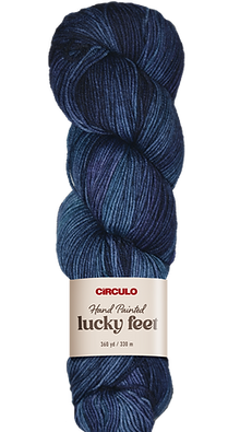 An image of a skein of Circulo Lucky Feet sport weight yarn with a white label against a white background.