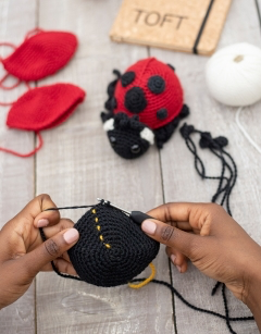 Ava the Ladybird Crochet Kit