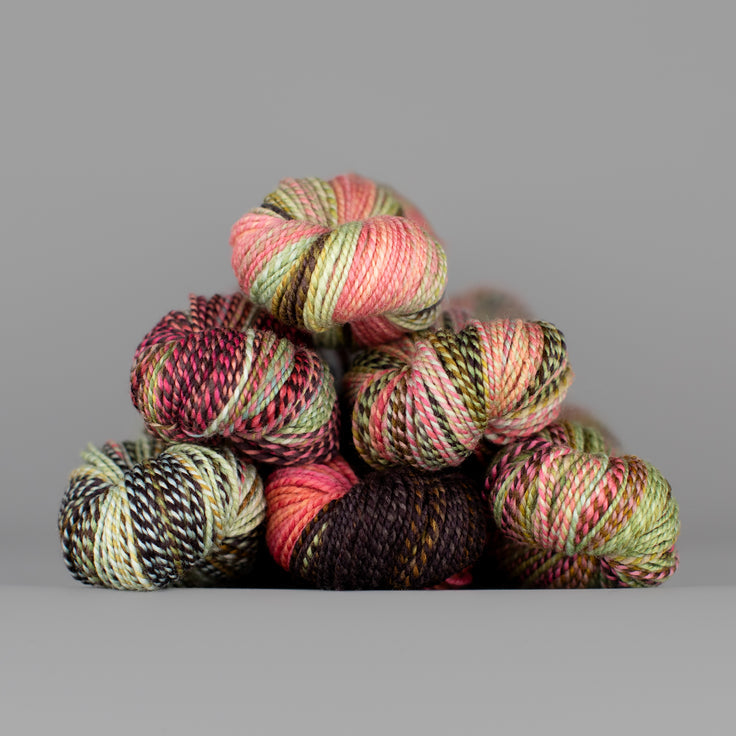 Skeins of Spincycle Dyed in the Wool sport weight yarn in a pale green, pink, dark purple, and brown color gradient against a gray background.