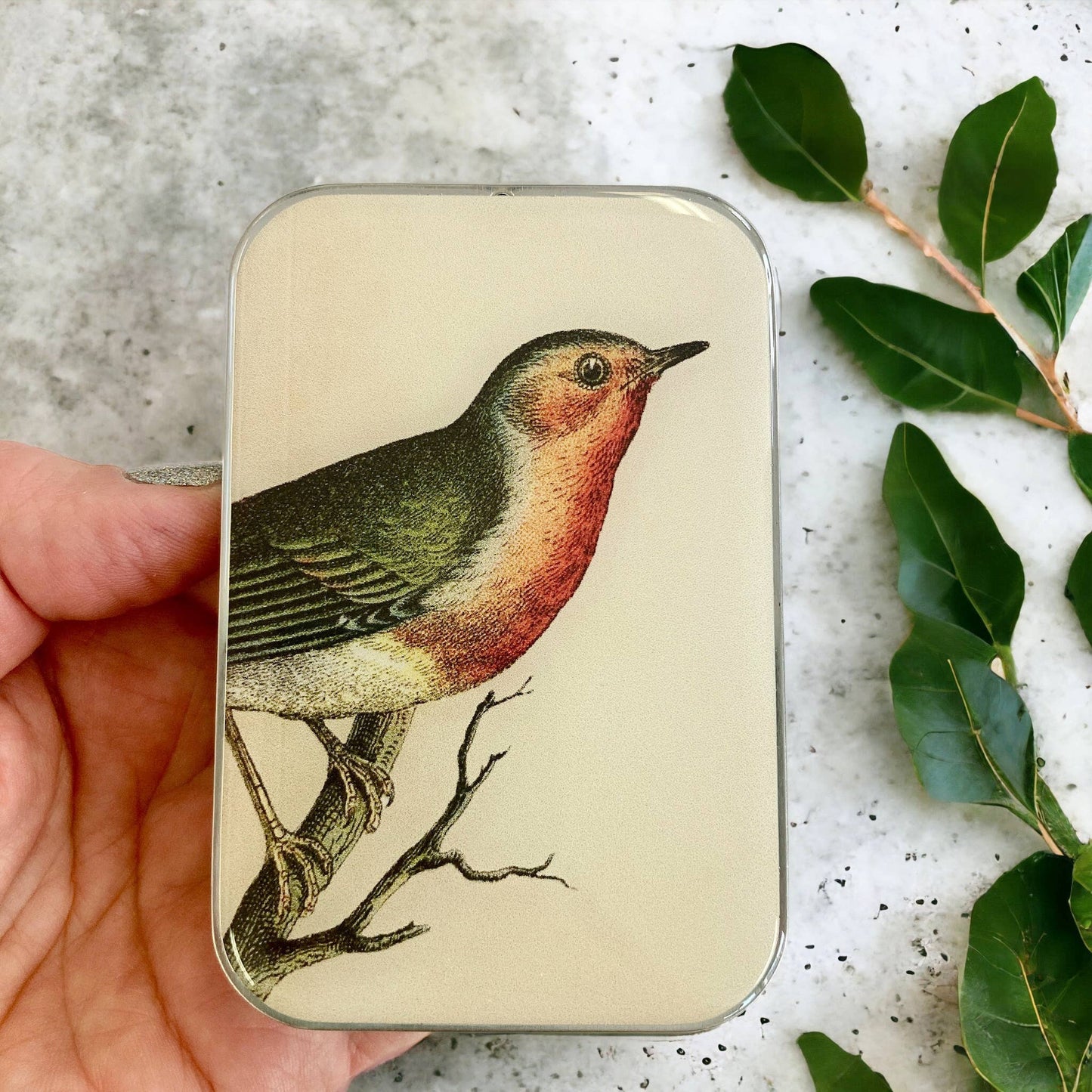 Robin Notions tin (020): Large