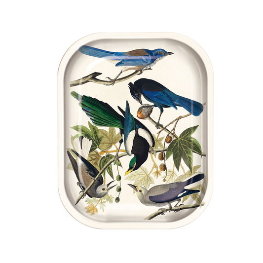 Small Metal Vintage Audubon Magpie and Jaybirds Trinket Tray