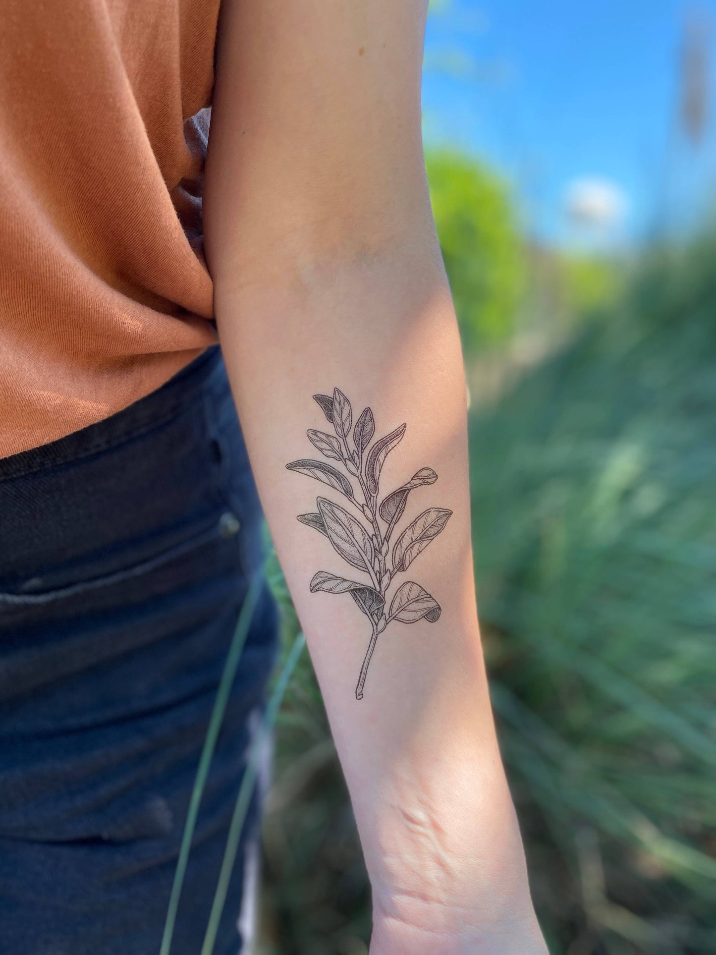 Sage Sprig Temporary Tattoo: 1 Pack