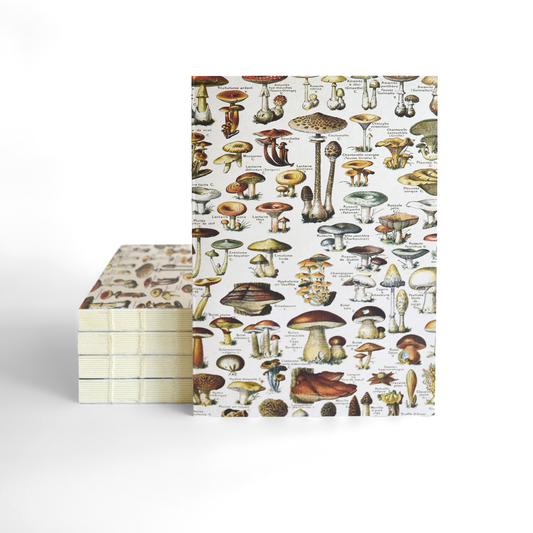 Vintage Tan Mushroom Exposed Coptic Binding Notebook Journal
