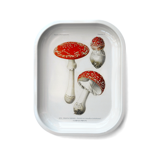 Small Metal Magic Mushroom Catchall Tray / Rolling Tray