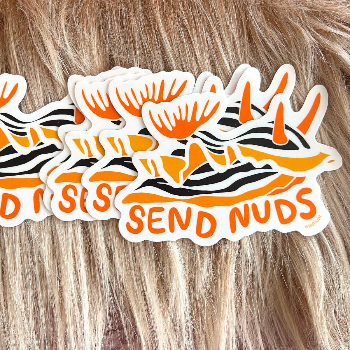 Send Nuds Nudibranch Vinyl Sticker