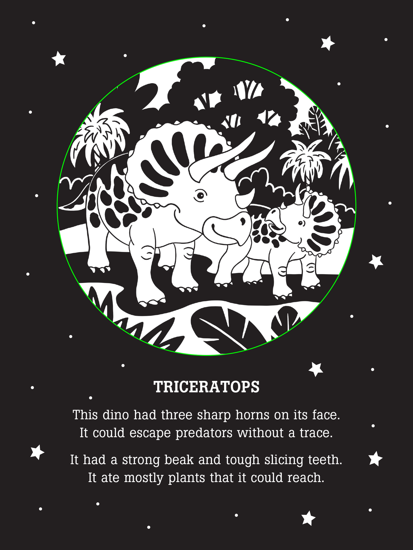 Dinos After Dark Bedtime Shadow Book