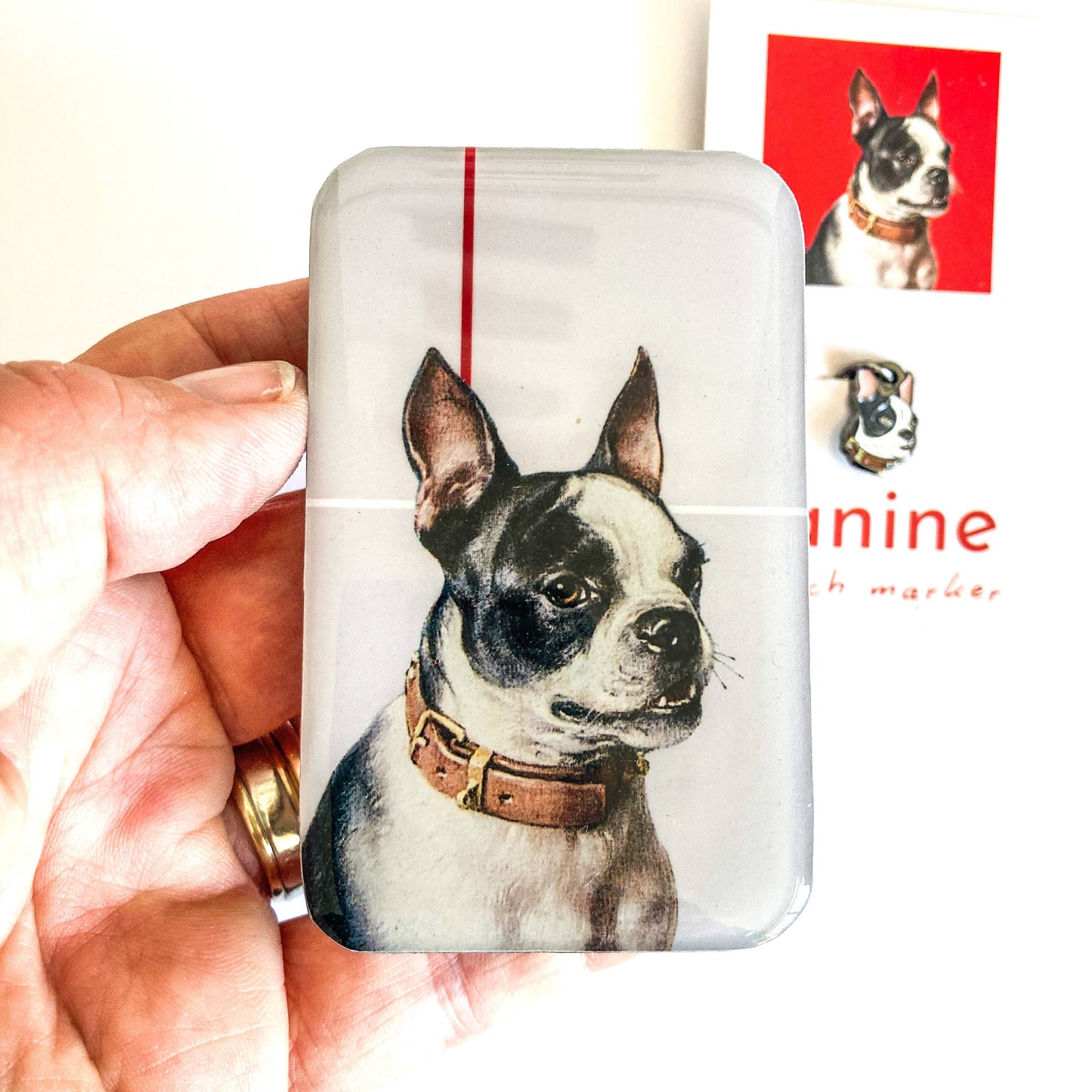 Boston Terrier notions tin: Large tin