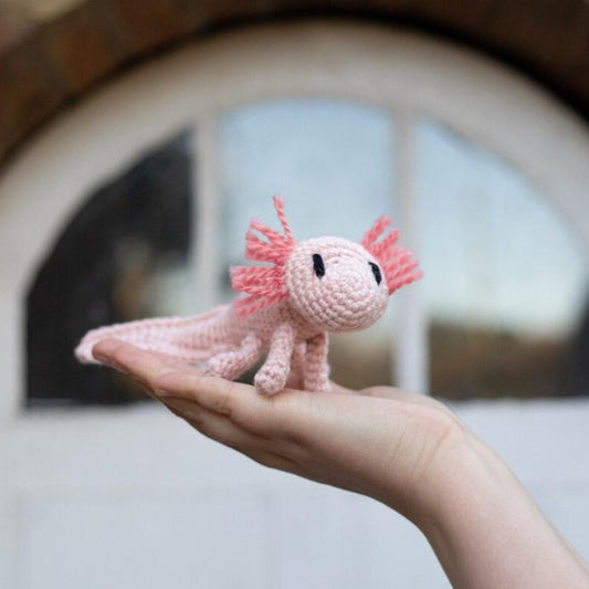 Mini Danielle the Axolotl Crochet Kit