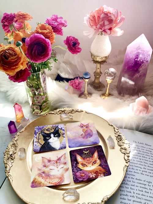 Witch Cats Oracle Deck by Nicole Piar