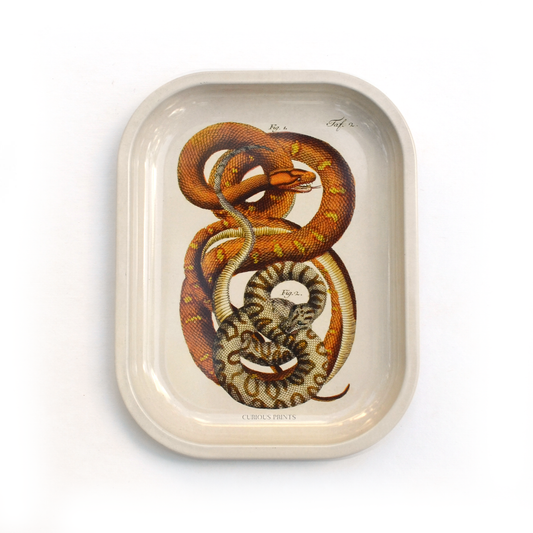 Snake Metal Notions or Ritual Tray
