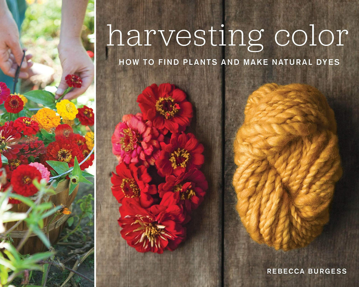 Harvesting Color - How to Find Plants and Make Natural Dyes - by Rebecca Burgess