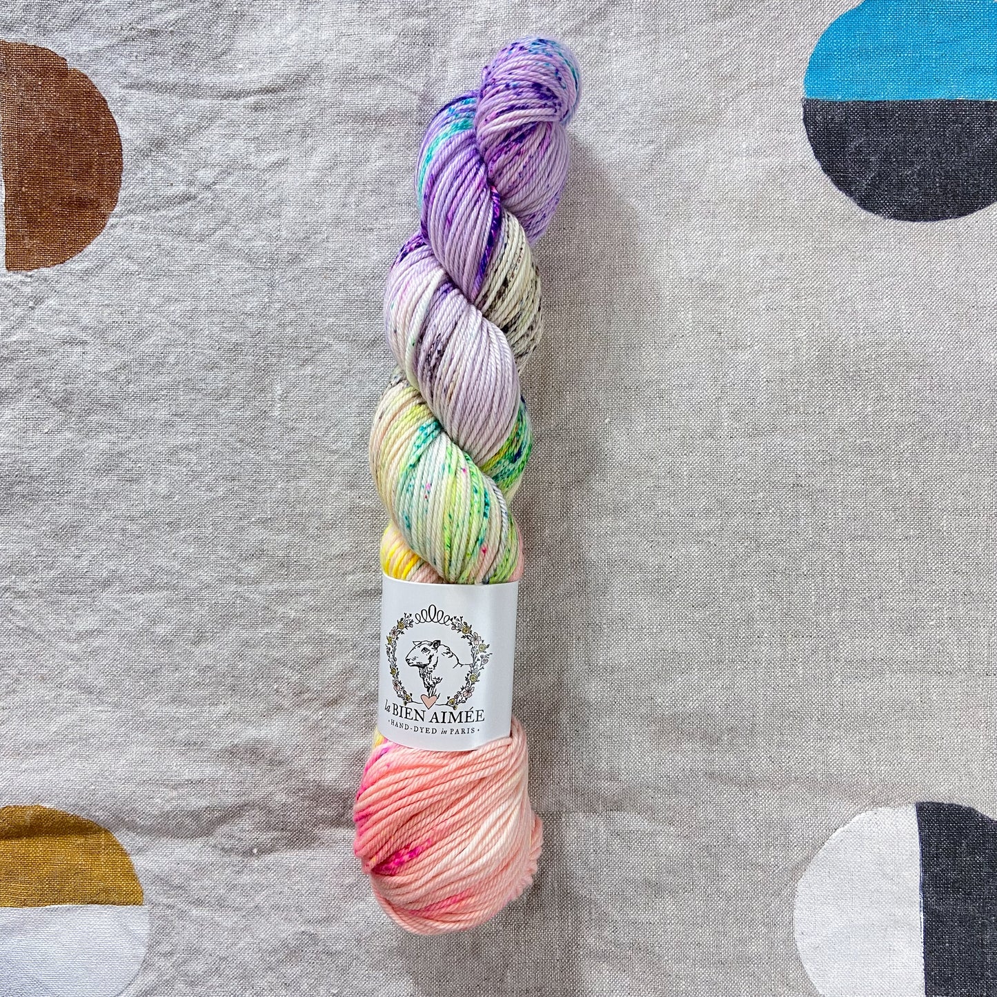 An image of a skein of DK weight yarn in shades of pink, purple, blue, green, and yellow, with a white ‘La Bien Aimee’ label against a canvas background.